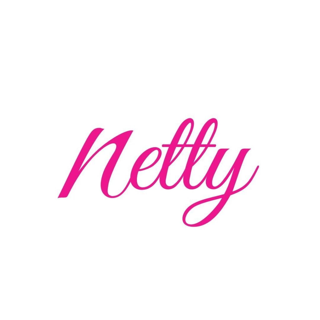 Logo netty